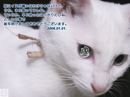 2006�N�N���