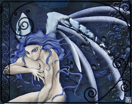 �C�����b